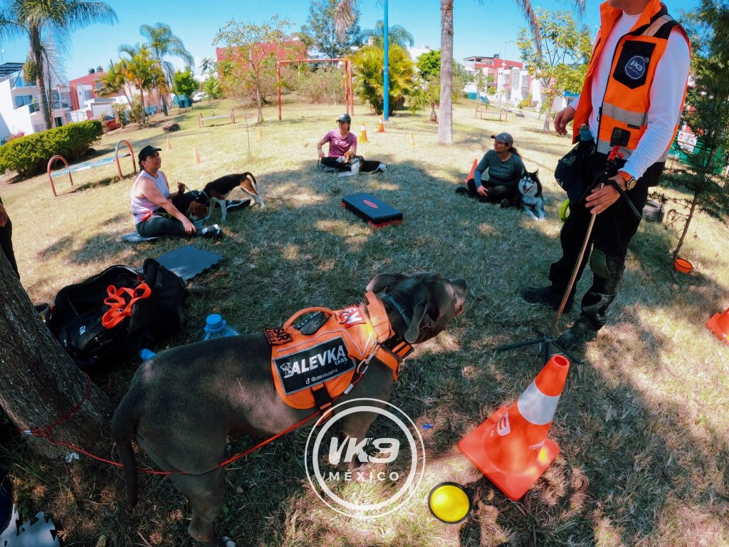 Seminarios VK9 con Validez Oficial